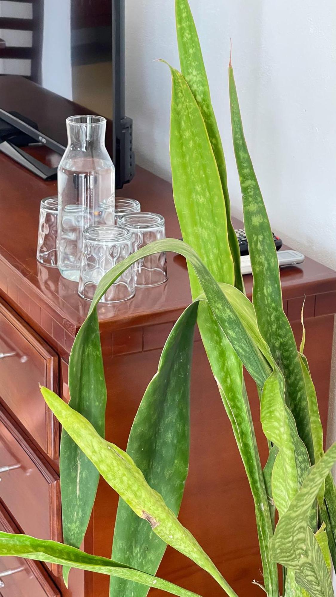 Quinta Alberto Boutique Hotel San Blas Kamer foto