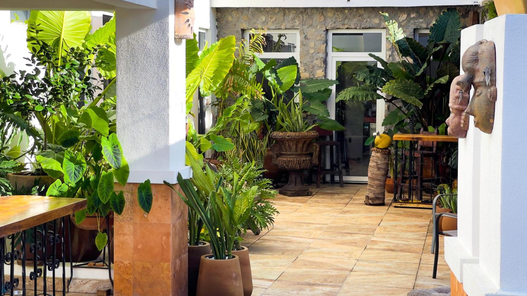 Quinta Alberto Boutique Hotel San Blas Buitenkant foto
